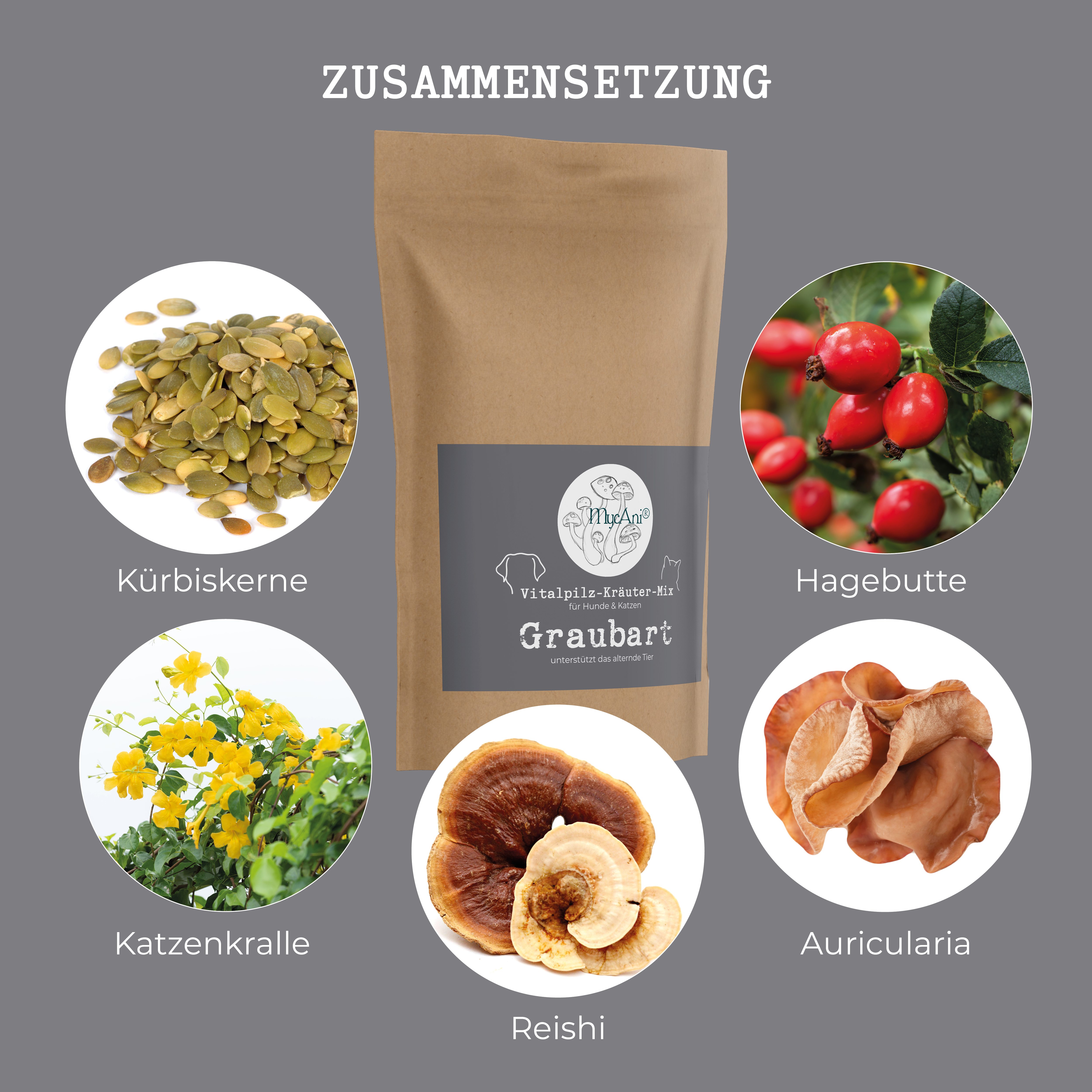 Vitalpilzmischung "Graubart" Vitalpilzmischung "Graubart"