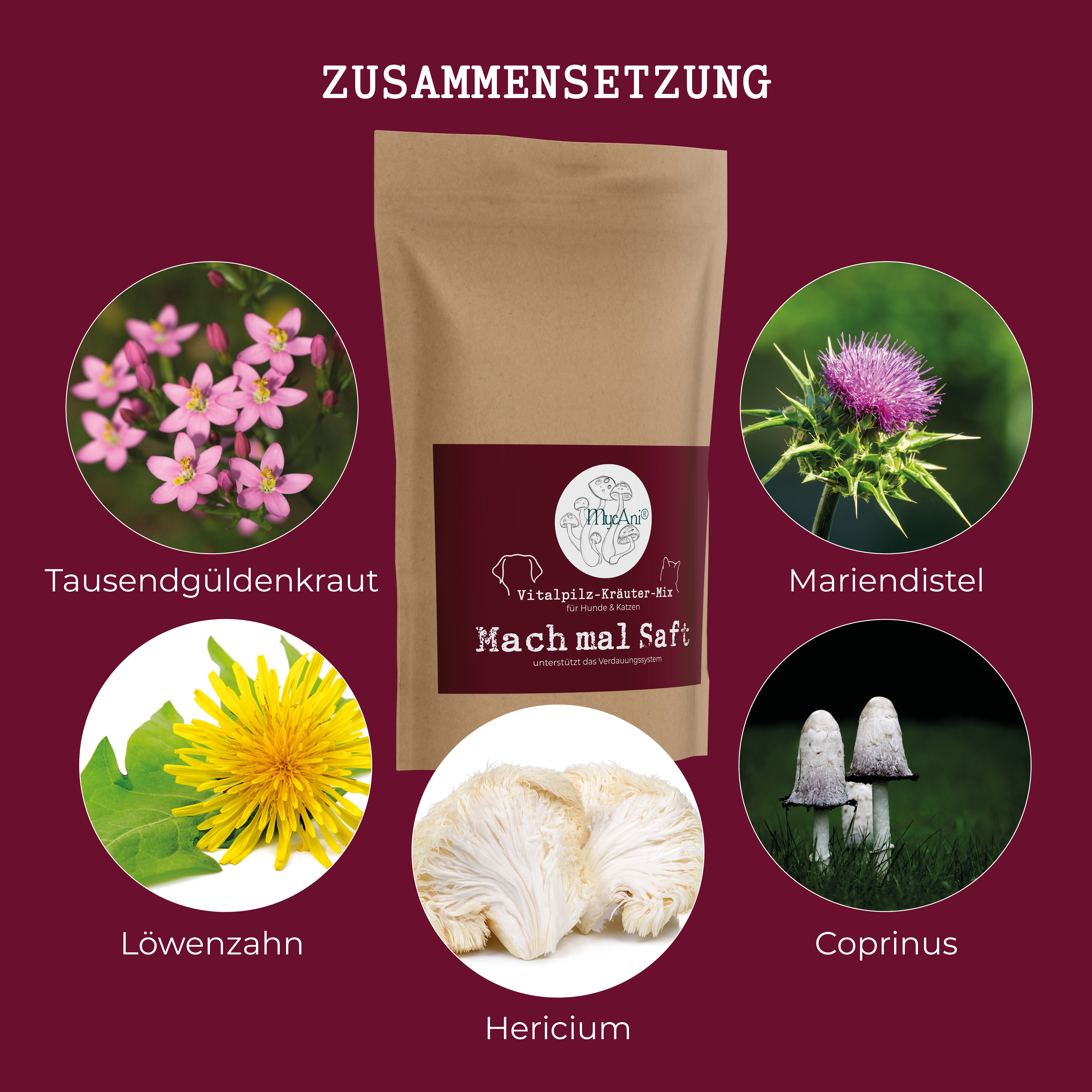 Vitalpilzmischung "Mach mal Saft - Pankre-AS"