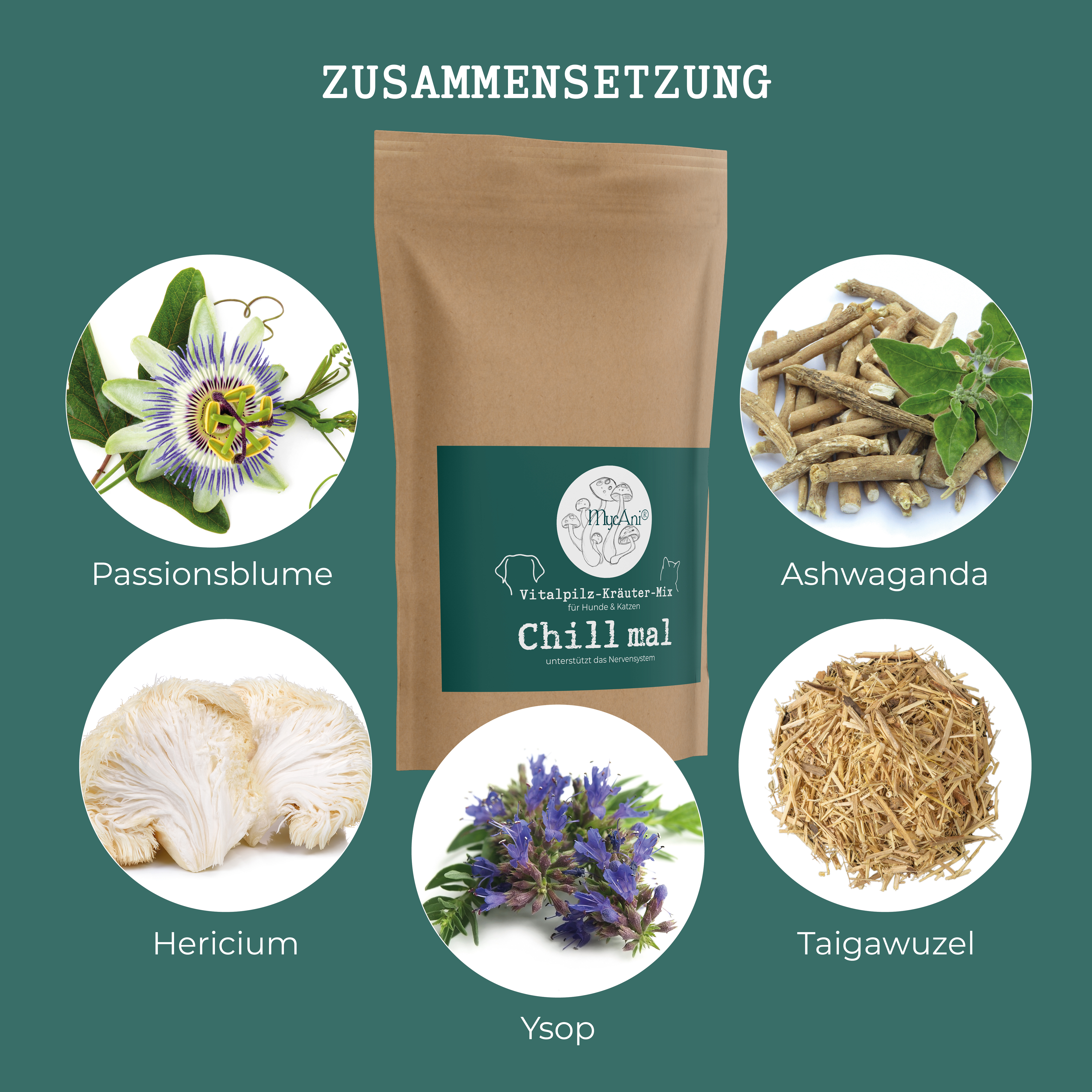 Vitalpilzmischung "Chill mal"