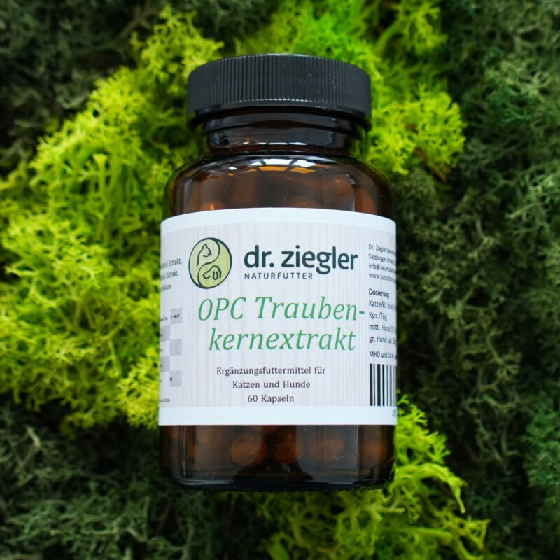 OPC Traubenkern Extrakt - Dr. Jutta Ziegler